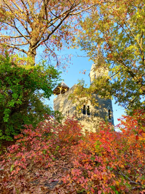 ニューヨークの紅葉はいつ いつまで おすすめ秋の絶景スポット7選 How To Enjoy Nyc