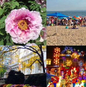 【Season of NY】NYの春夏秋冬の楽しみ方