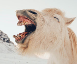 【自宅で何する？】志村けんさん「だいじょうぶだぁ」で楽しく無料で寄付